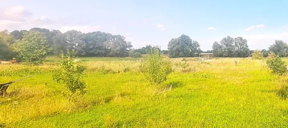 5 bedrooms Farm in Oberhavel, Germany No. 284693 8