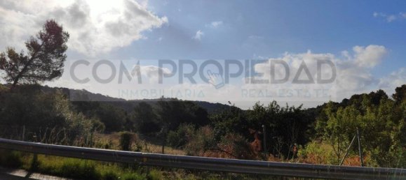  Land in Palma de Majorca, Spain No. 144211 6