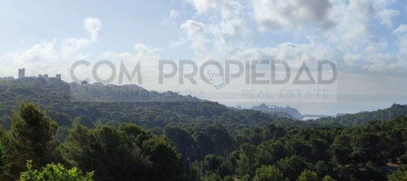  Land in Palma de Majorca, Spain No. 144211 5