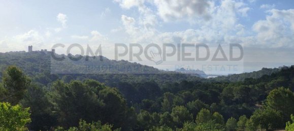  Land in Palma de Majorca, Spain No. 144211 2