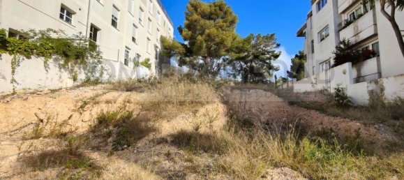  Land in Palma de Majorca, Spain No. 144211 4