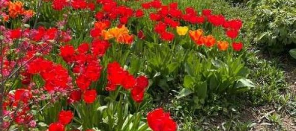 4 Schlafzimmer Stadthaus in Heilbronn, Germany, Nr. 242281 16