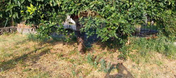 5 Schlafzimmer Haus in Piedimonte Etneo, Italy, Nr. 324574 19