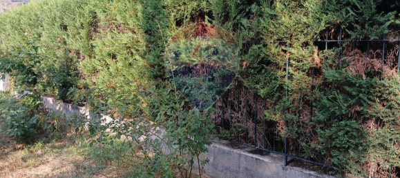 5 Schlafzimmer Haus in Piedimonte Etneo, Italy, Nr. 324574 17