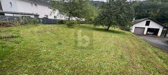 1712m² Land in Ortenaukreis, Germany No. 244140 2