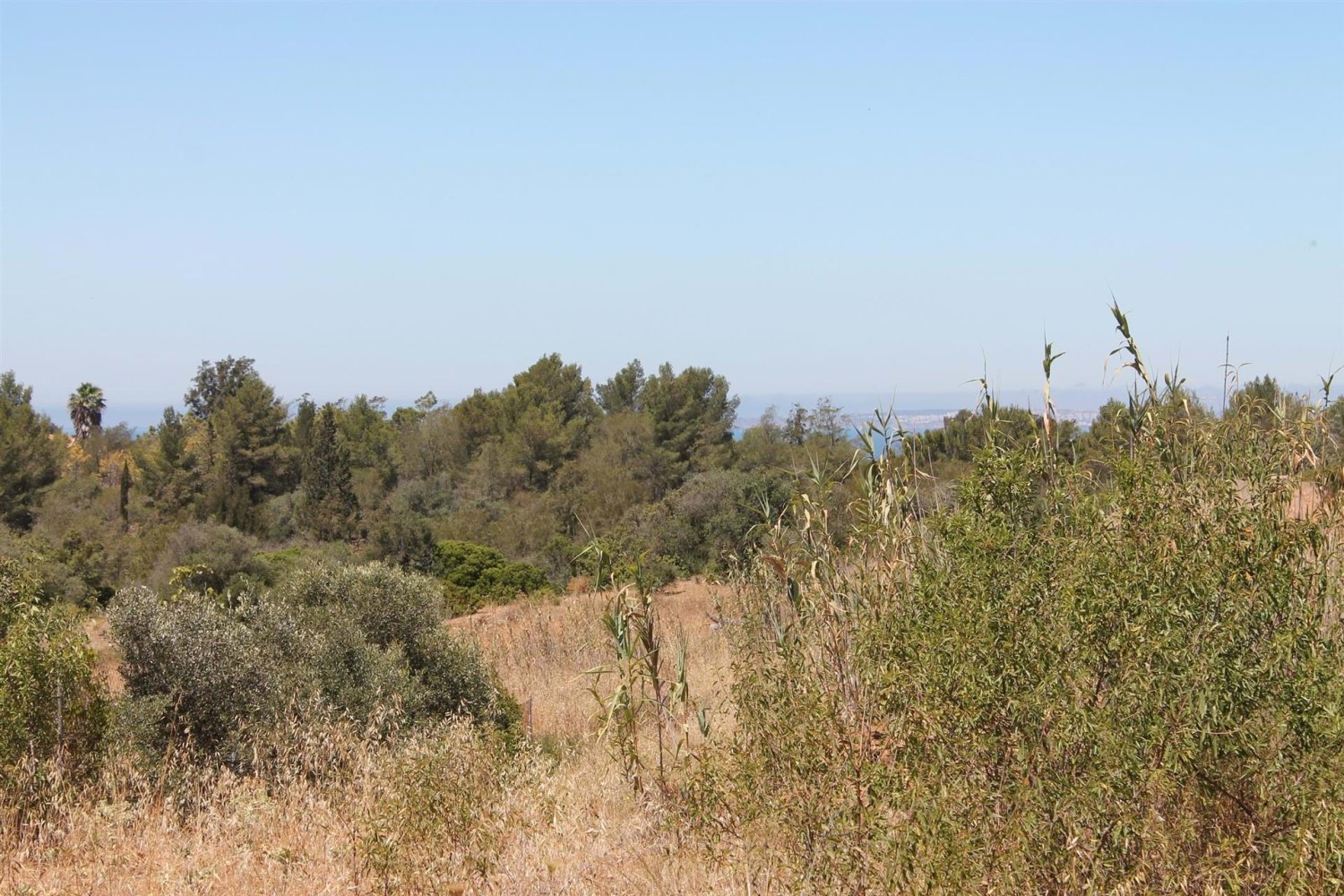  Land in Lagoa, Portugal No. 207301