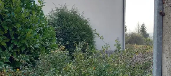 5 rooms Townhouse in Zwickau, Germany No. 22216 4