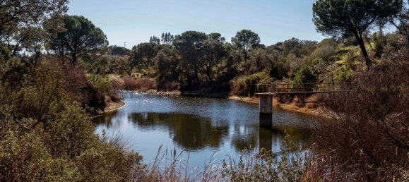 6 bedrooms Castles in Alcacer do Sal, Portugal No. 95801 7