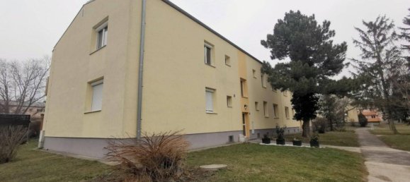 Apartamento de 2 divisões em Wiener Neudorf, Austria N.º 257651 2