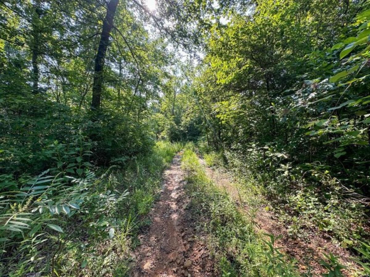  Land in Doniphan, USA No. 551519