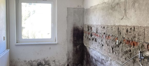 3 chambres Maison à Mittelsachsen, Germany No. 320947 11