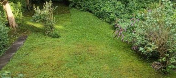 1 chambre Appartement à Harburg, Germany No. 231323 11