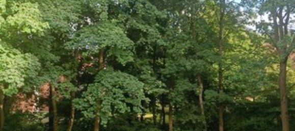 1 chambre Appartement à Harburg, Germany No. 231323 8