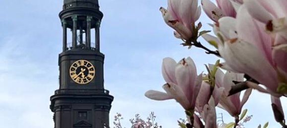 33-Zimmer Gebäude in Hamburg-Mitte, Germany, Nr. 363306 2