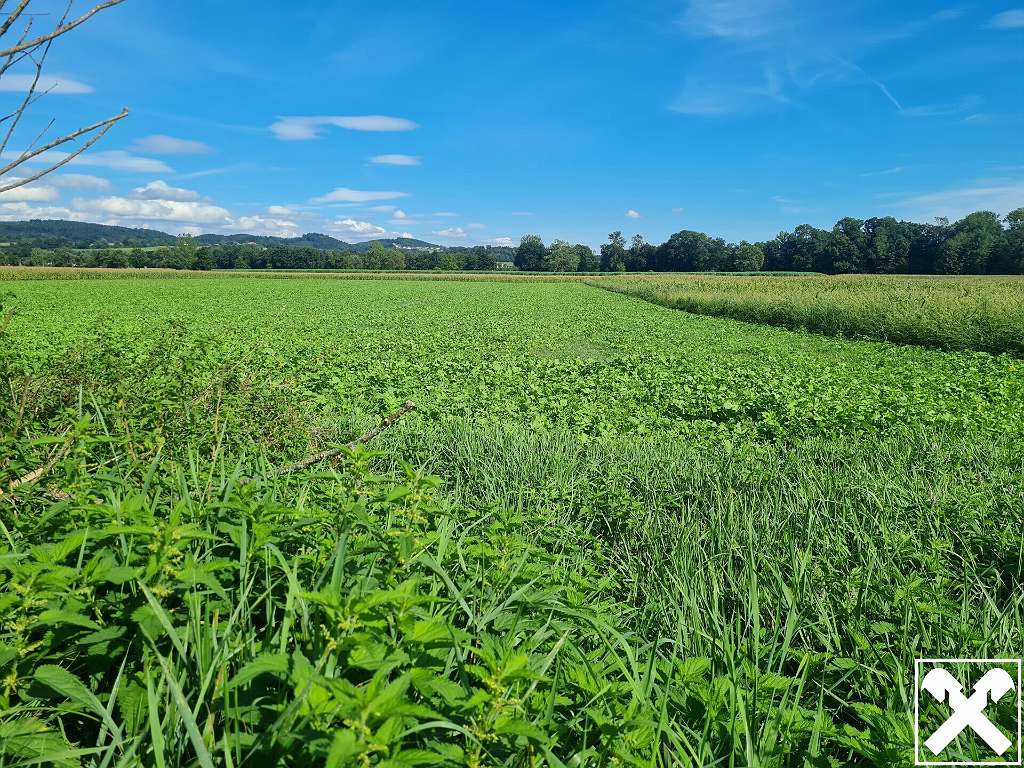 Terreno en Arbing, Austria 5785 m² No. 95857