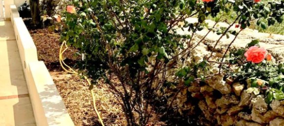 5غرفة فيلا في Syracuse, Italy رقم 279635 16