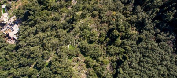 5000m² Hotel in Corfu, Greece No. 3969 10