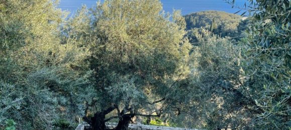 5000m² Hotel in Corfu, Greece No. 3969 5