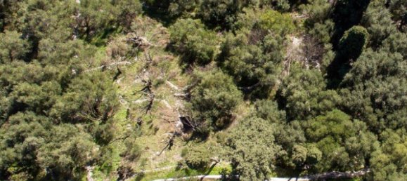 5000m² Hotel in Corfu, Greece No. 3969 8