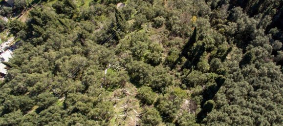 5000m² Hotel in Corfu, Greece No. 3969 4