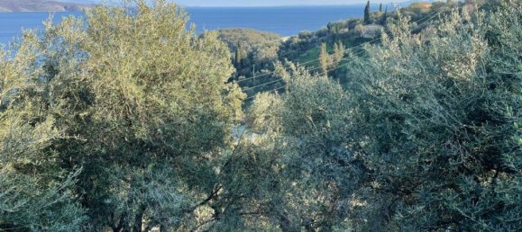 5000m² Hotel in Corfu, Greece No. 3969 7