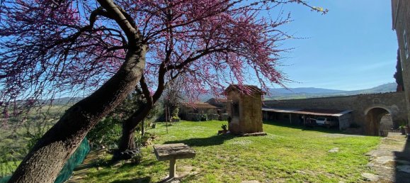 21 room Villa in Roccalbegna, Italy No. 287670 20