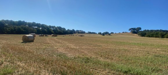 21 room Villa in Roccalbegna, Italy No. 287670 27