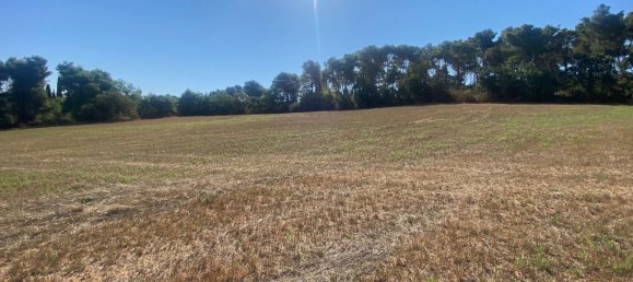 21 room Villa in Roccalbegna, Italy No. 287670 29