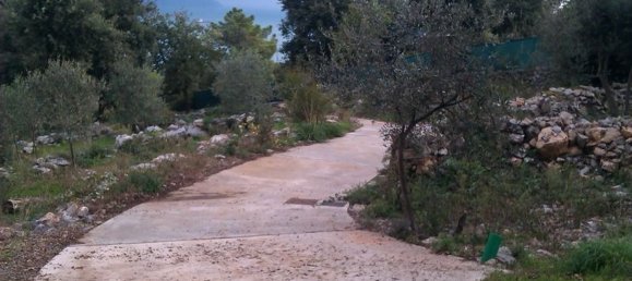 5 rooms Villa in Portovenere, Italy No. 87034 35