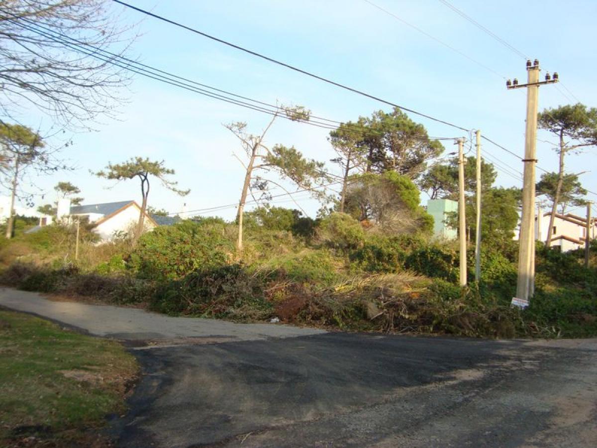  Land in Maldonado, Uruguay No. 13845