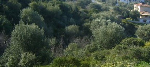 11600m² Hotel in Chalkidiki, Greece No. 8148 4