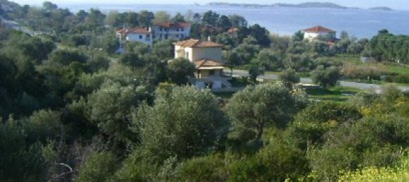 11600m² Hotel in Chalkidiki, Greece No. 8148 6