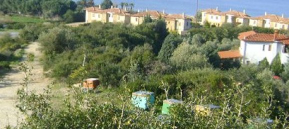 11600m² Hotel in Chalkidiki, Greece No. 8148 2