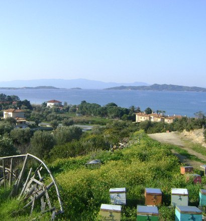 11600m² Hotel in Chalkidiki, Greece No. 8148