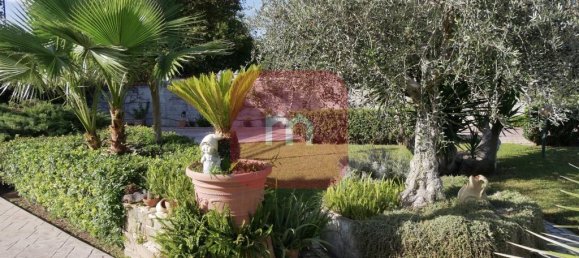 Villa de 2 dormitorios en Ardea, Italy No. 214395 61