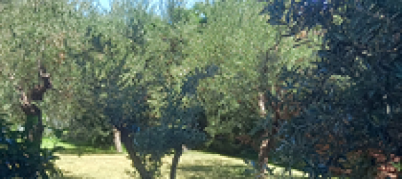 10 rooms Villa in Misilmeri, Italy No. 273574 4