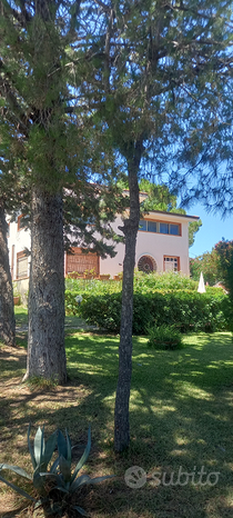 10 rooms Villa in Misilmeri, Italy No. 273574