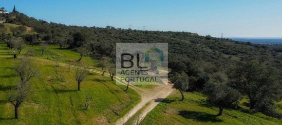 Grundstück in Loule, Portugal 15000m², Nr. 100033 35