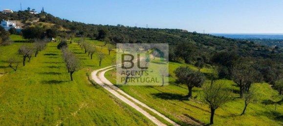 Grundstück in Loule, Portugal 15000m², Nr. 100033 24