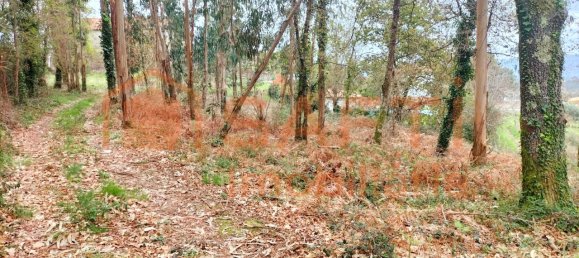 900m² Land in Vila Nova de Cerveira, Portugal No. 78194 6