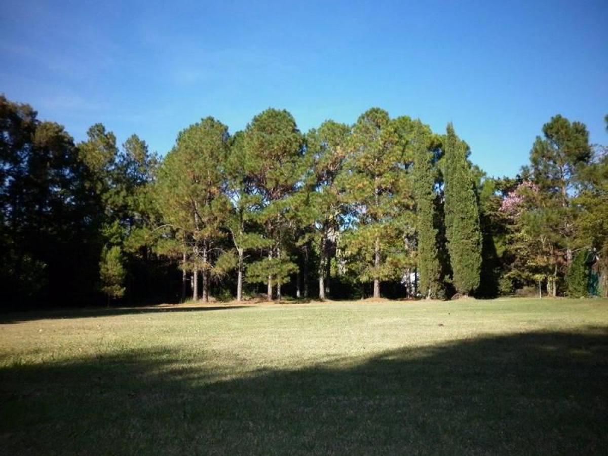 Terrain à San Vicente, Argentina No. 36557