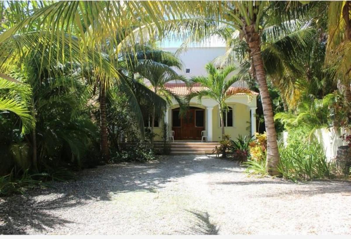 4 bedrooms House in Mexico No. 155310