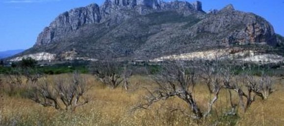 3 bedrooms Apartment in El Verger, Spain No. 11551 21