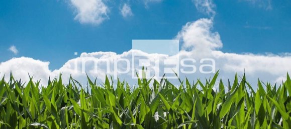 Terreno em Preganziol, Italy 14000 m² N.º 179189 3