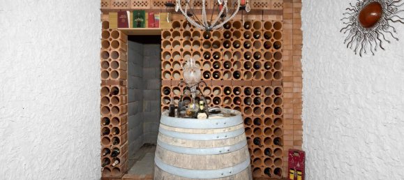 Бунгало с 4 комнатами в Вена, Австрия № 231555 21