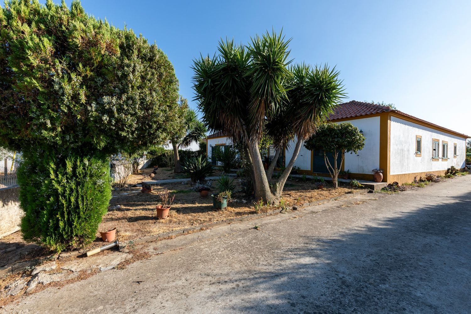 5 غرف نوم منزل في Santa Margarida da Coutada, Portugal رقم 353613