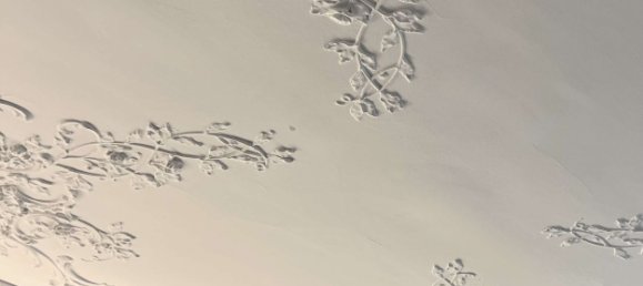 9 غرف نوم فيلا في Bonn, Germany رقم 247406 7