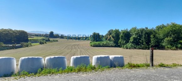 Grundstück in Santo Tirso, Portugal 18230m², Nr. 51871 2