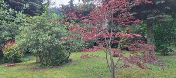 Земельный участок в Приглиц, Австрия № 57281 4