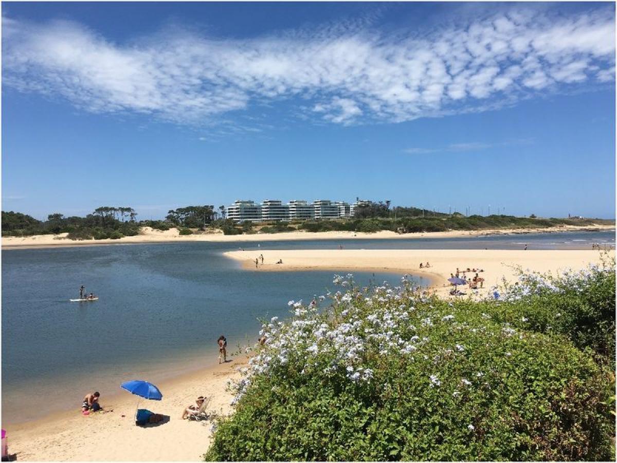 Дом с 5 спальнями в Мальдонадо, Уругвай № 505